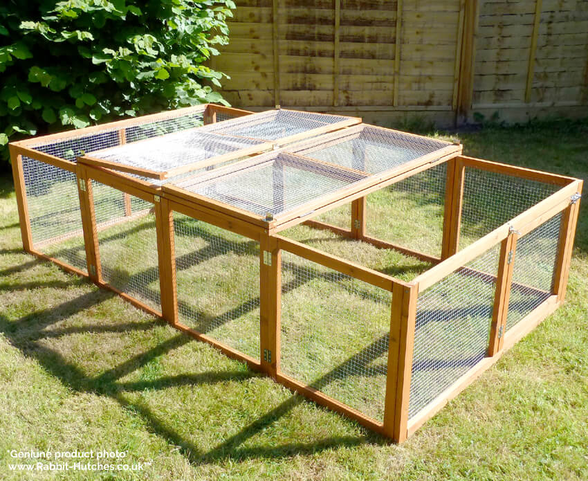 large rabbit run