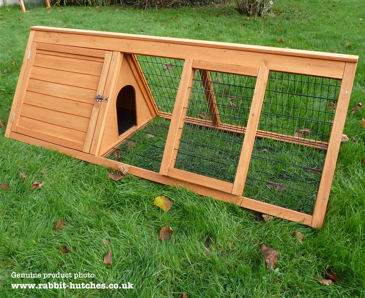 Ark Guinea Pig Run