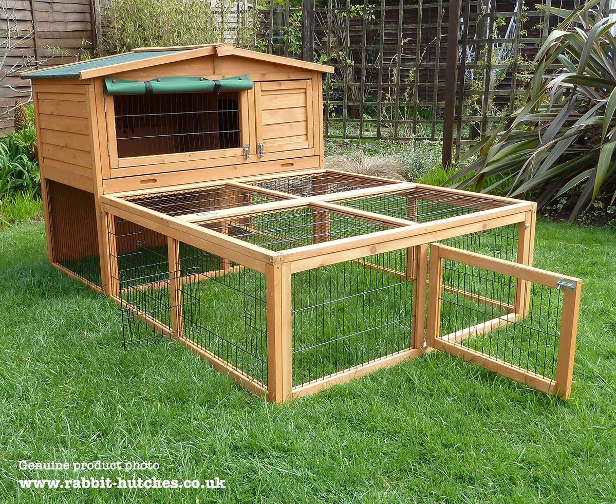 Rabbit Run And Hutch